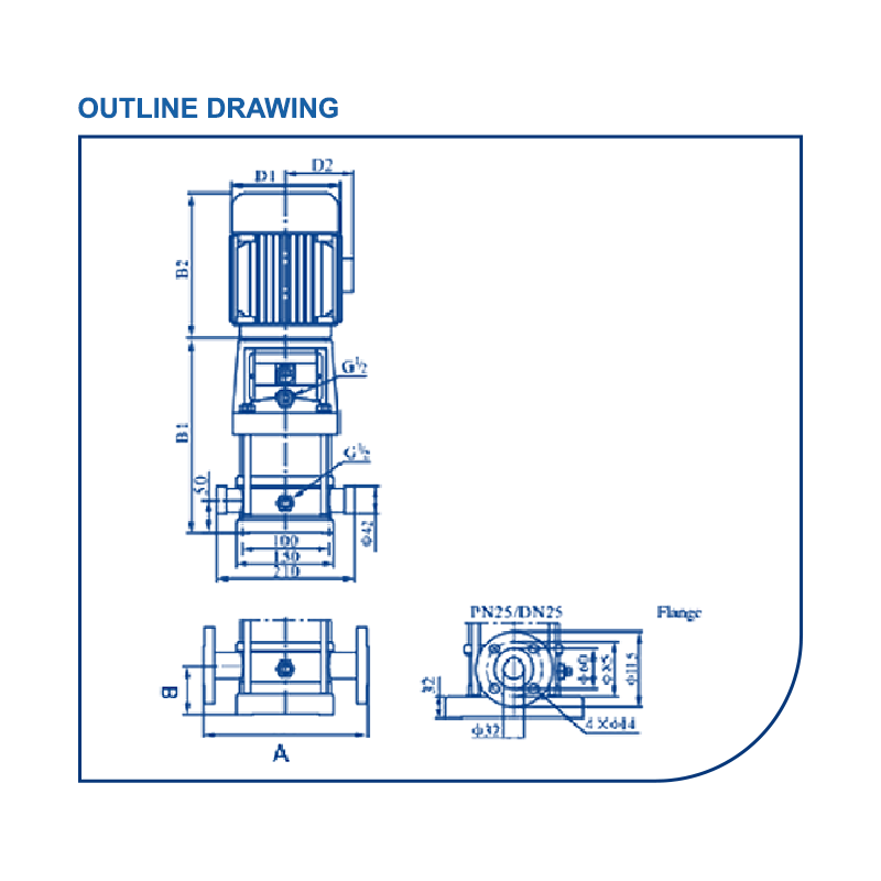 CDLF - Image 4
