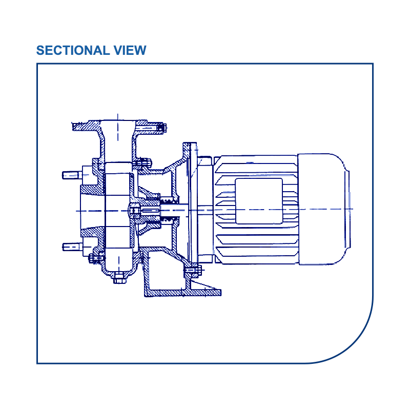 DWF - Image 3